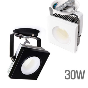 미니30W LED투광기/미니사각투광기/30W확산형