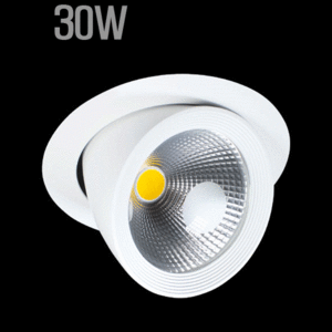 LED 매입등 하이파워 COB CHIP 30W(1008DWH)/전용 LED안정기포함/LED다운라이트/거실조명/현관조명